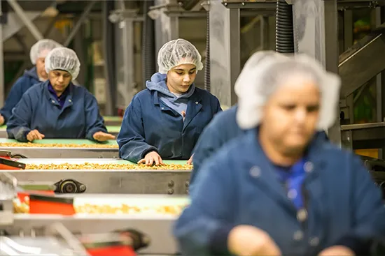 Workers on an assembly line